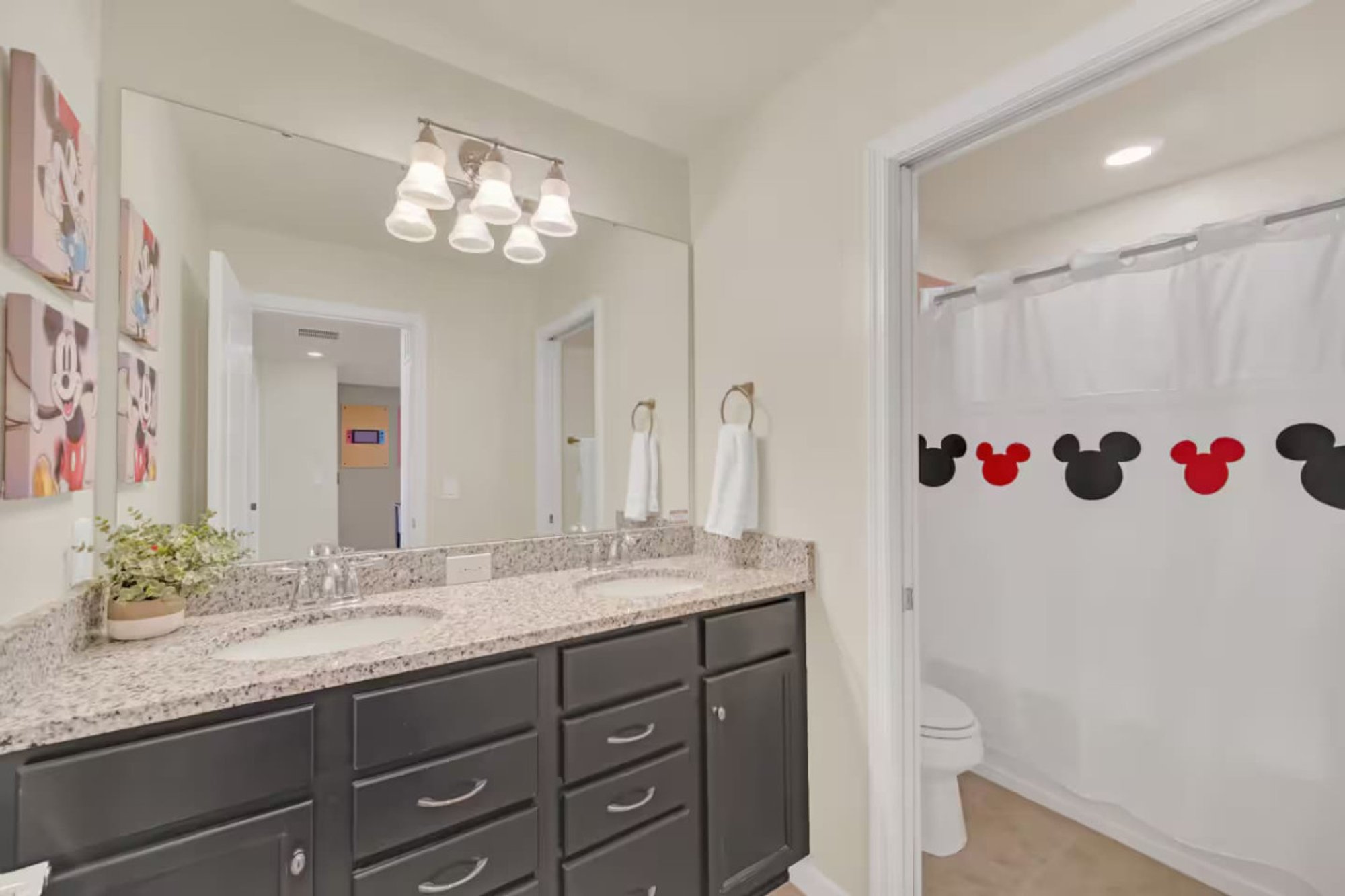 Shared bath with Mickey silhouette hooks